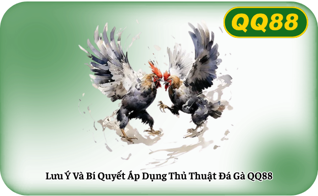 Luu Y Va Bi Quyet Ap Dung Thu Thuat Da Ga QQ88 Lưu Ý Và Bí Quyết Áp Dụng Thủ Thuật Đá Gà QQ88