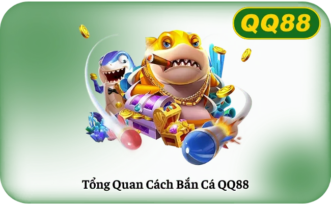 Tong Quan Cach Ban Ca QQ88 Tổng Quan Cách Bắn Cá QQ88